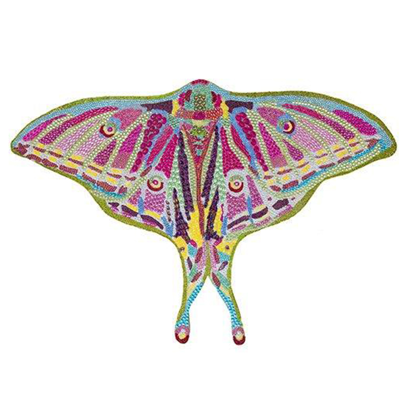 Картина “Spanish Moon Moth Butterfly Cut Out” Мульти в Нижнем Новгороде | Loft Concept 