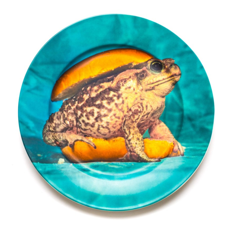 Тарелка Seletti Porcelain Plate Toad Бирюзовый в Нижнем Новгороде | Loft Concept 