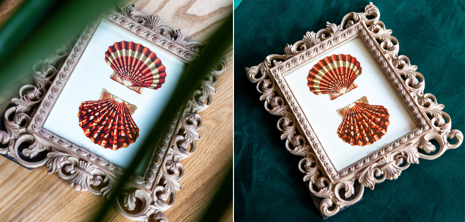 Постер Red Scallop Poster - Loft-Concept в Нижнем Новгороде