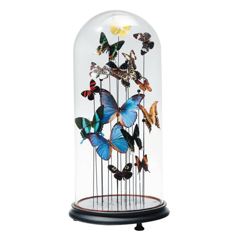 Статуэтка 15 Butterflies Glass Cloche  в Нижнем Новгороде | Loft Concept 