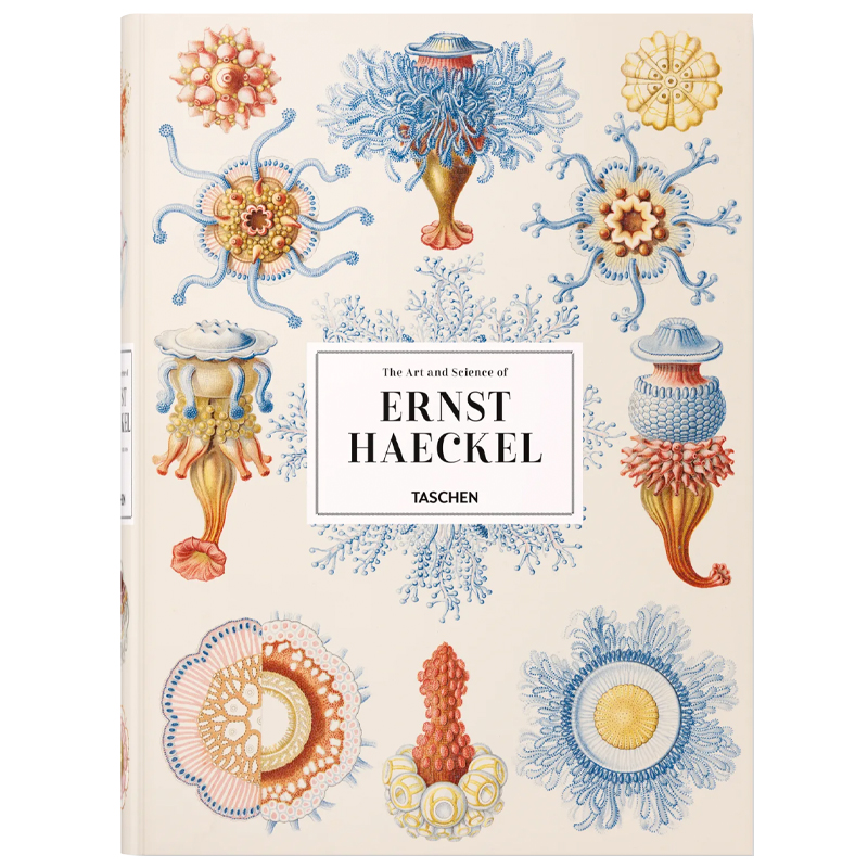 The Art and Science of Ernst Haeckel XXL  в Нижнем Новгороде | Loft Concept 