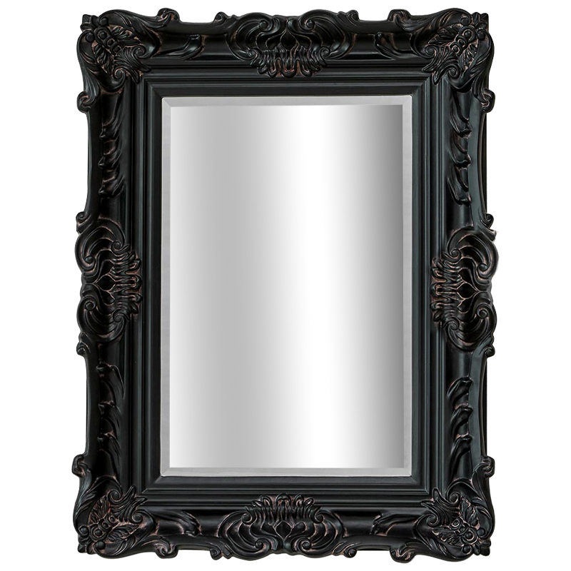 Зеркало Aryan Provence Mirror Black Черный Коричневый в Нижнем Новгороде | Loft Concept 