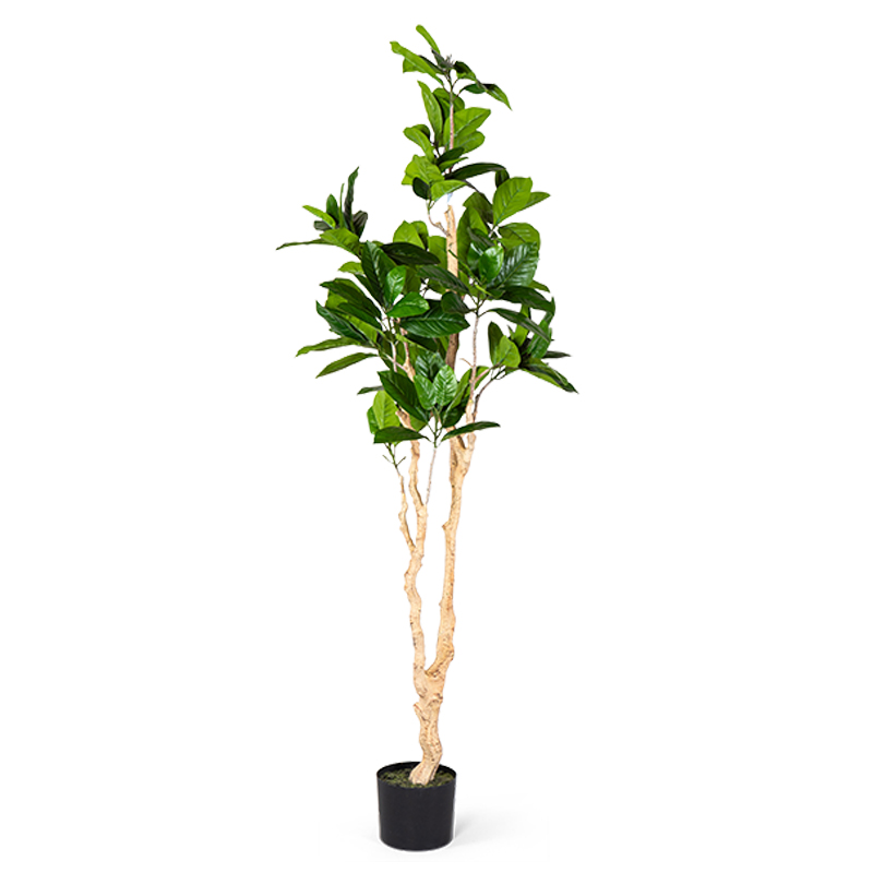 Декоративный искусственный цветок Decorative Tree h187 Зеленый в Нижнем Новгороде | Loft Concept 