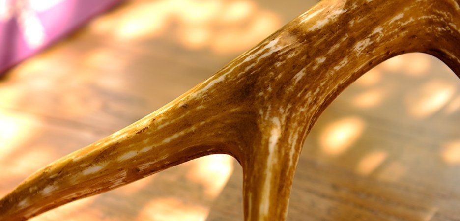 Торшер Pride of England - фото №2