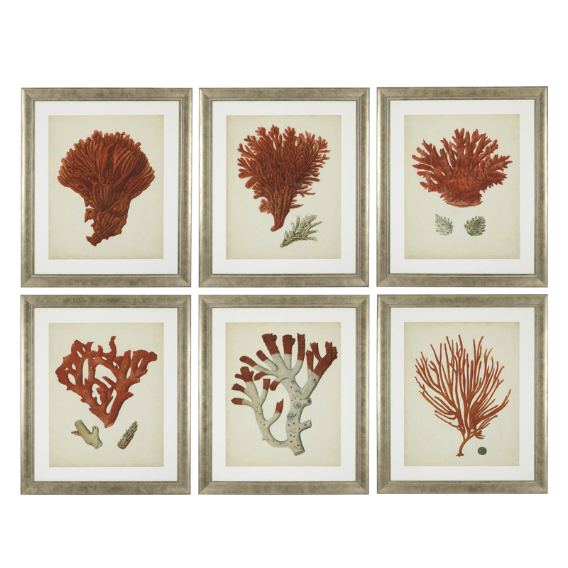 Комплект постеров Eichholtz Prints Antique Red Corals set of 6 Сатиновое Серебро  Коралловый Бежевый в Нижнем Новгороде | Loft Concept 