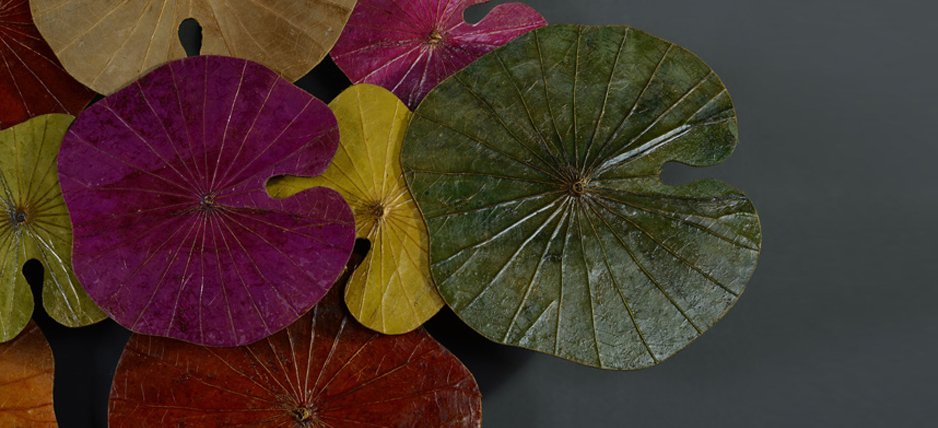 Арт-объект Disc wall art Lotus leaves II - фото №3