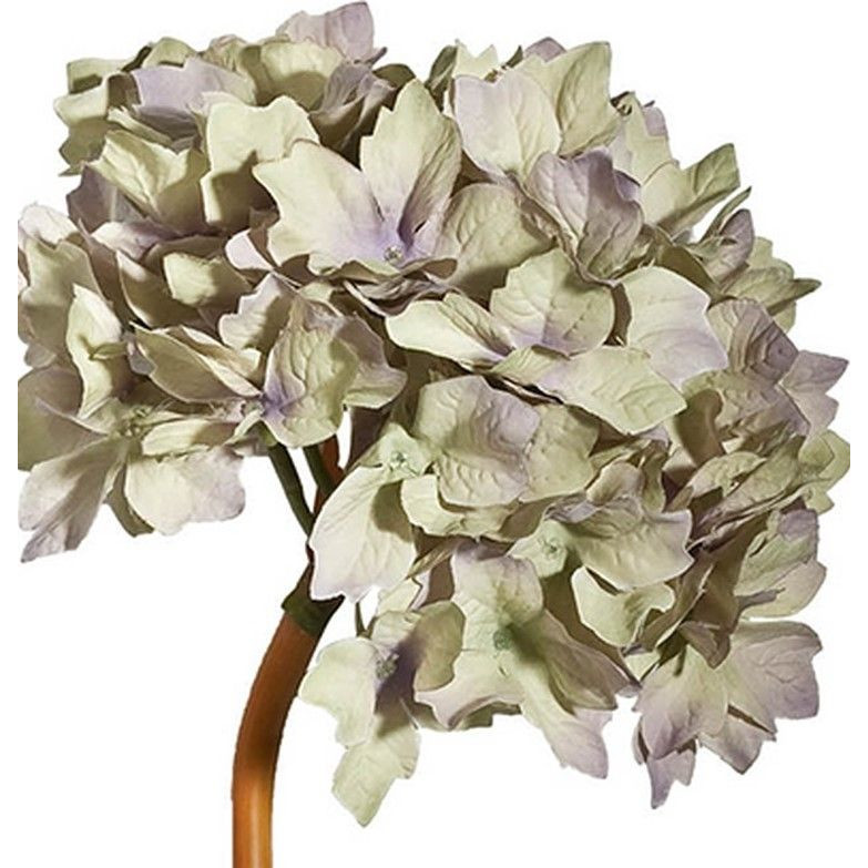 Декоративный искусственное растение Beige hydrangea Черный Бежевый Коричневый в Нижнем Новгороде | Loft Concept 