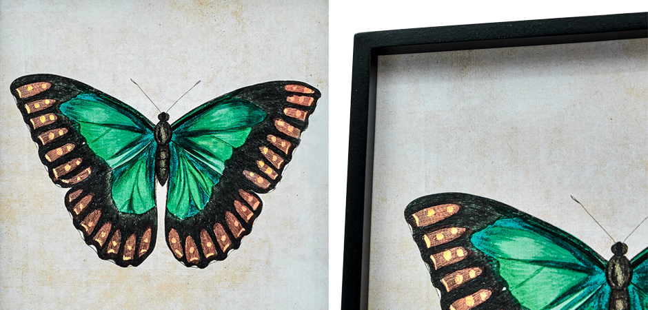 Комплект из 4-х постеров Большие Бабочки - фото №3