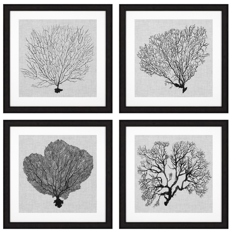 Комплект постеров Eichholtz Prints Shadow Sea Fans set of 4 Черный Черно-белый в Нижнем Новгороде | Loft Concept 