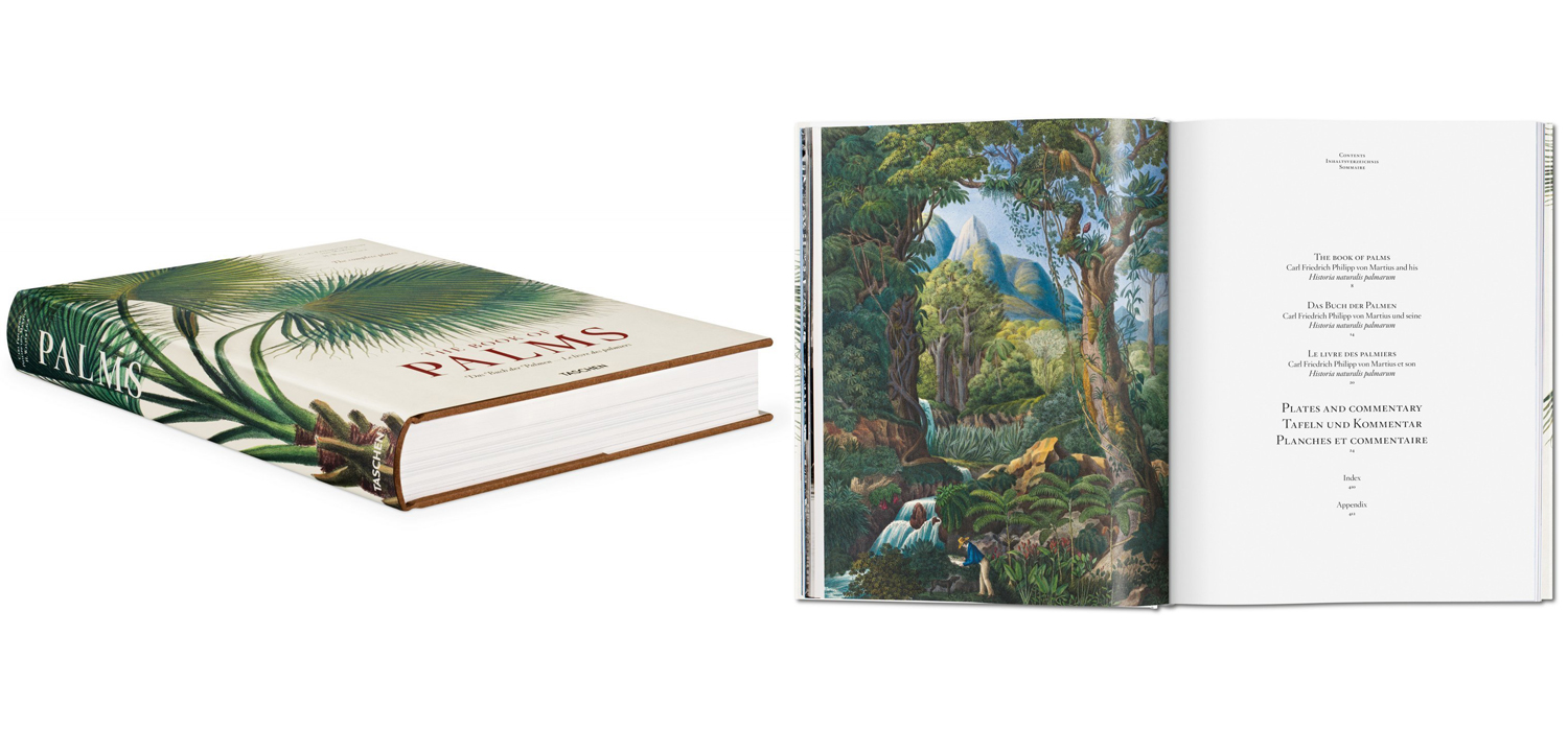 Книга The Book of Palms - фото