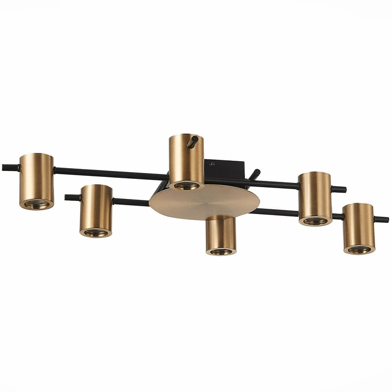 Потолочный светильник Aigle Ceiling Light 6 Черный Латунь в Нижнем Новгороде | Loft Concept 