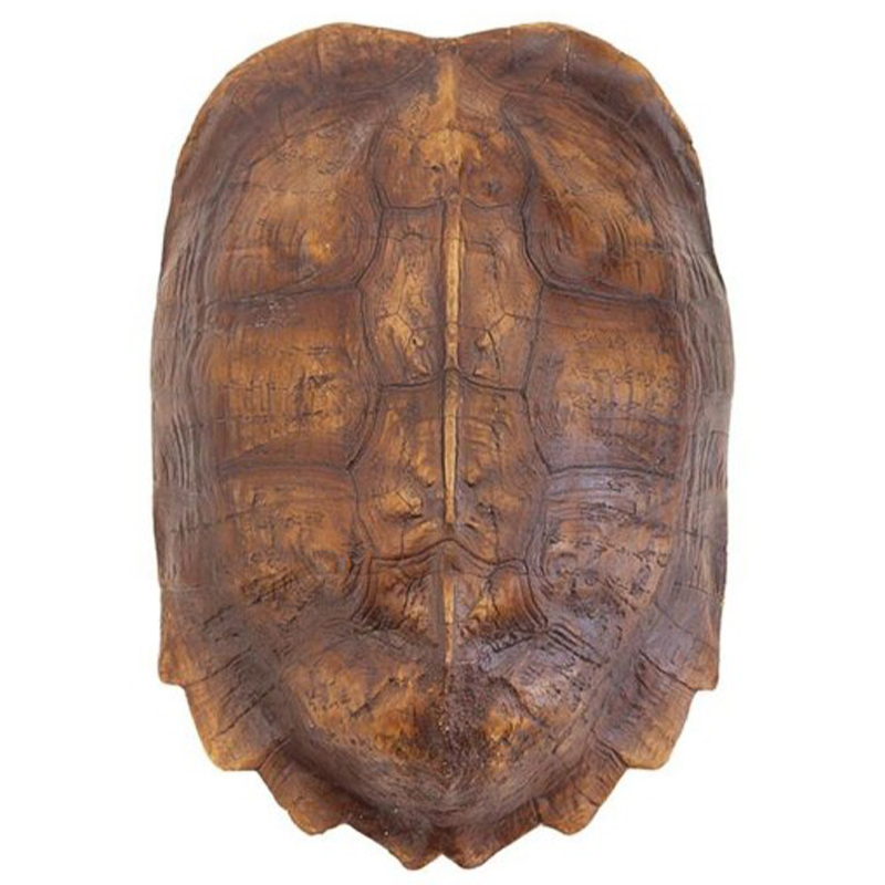 Аксессуар Turtle Shell Natural Light Brown Коричневый в Нижнем Новгороде | Loft Concept 