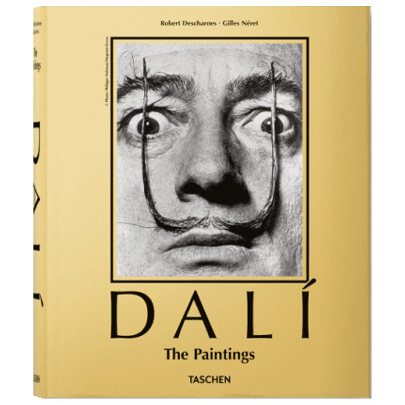 Dali. The Paintings 27 x 22 cm  в Нижнем Новгороде | Loft Concept 