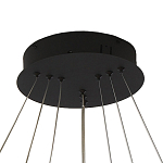 Люстра светодиодная с 3-мя плафонами в форме колец из акрила и алюминия с пультом для регулировки света Ring Horizontal Anthracite варинант исполнения - 5 | Loft Concept в Нижнем Новгороде