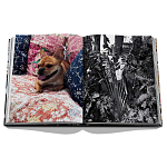 Книга подарочная Смелый бразильский стиль Сиг Бергамина Assouline Maximalism by Sig Bergamin варинант исполнения - 9 | Loft Concept в Нижнем Новгороде