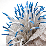 Статуэтка тропический фрукт Tropical Fruit White Blue варинант исполнения - 1 | Loft Concept в Нижнем Новгороде