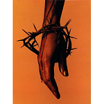 Подарочная книга величайший фотограф Альберт Уотсон The Vienna album Albert Watson варинант исполнения - 4 | Loft Concept в Нижнем Новгороде