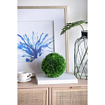 Декоративный искусственное растение Round boxwood варинант исполнения - 4 | Loft Concept в Нижнем Новгороде