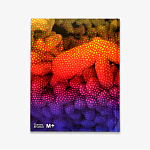 Редкое подарочное издание Yayoi Kusama: 1945 to Now варинант исполнения - 3 | Loft Concept в Нижнем Новгороде