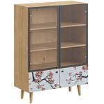 Витрина с изображением на дверцах Elise Cupboard варинант исполнения - 6 | Loft Concept в Нижнем Новгороде