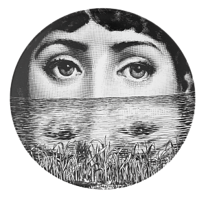 Декоративная тарелка Fornasetti 089