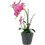 Декоративный искусственное растение Pink orchid варинант исполнения - 4 | Loft Concept в Нижнем Новгороде