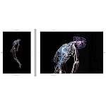 Монография художника Tavares Strachan - There is Light Somewhere варинант исполнения - 6 | Loft Concept в Нижнем Новгороде