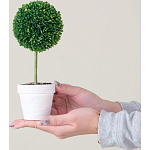 Декоративный искусственное растение Boxwood One варинант исполнения - 6 | Loft Concept в Нижнем Новгороде