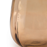 Ваза в виде бутыли TRANSPARENT FORMS 36 варинант исполнения - 5 | Loft Concept в Нижнем Новгороде