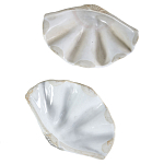 Фигурка из фарфора в виде одной створки ракушки Marine Tridacna варинант исполнения - 3 | Loft Concept в Нижнем Новгороде