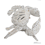 Статуэтка краб с детализированной текстурой в белом цвете Marine Accessories варинант исполнения - 4 | Loft Concept в Нижнем Новгороде