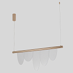 Люстра подвесная с пятью прозрачными элементами в форме лепестков и золотистым металлическим основанием DALI Tonin Casa варинант исполнения - 2 | Loft Concept в Нижнем Новгороде