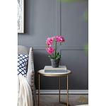 Декоративный искусственное растение Pink orchid варинант исполнения - 8 | Loft Concept в Нижнем Новгороде