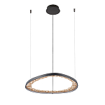 Люстра светодиодная  Iris варинант исполнения - 2 | Loft Concept в Нижнем Новгороде