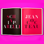 Коллекционный альбом Schiaparelli and the Artists варинант исполнения - 12 | Loft Concept в Нижнем Новгороде