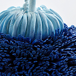 Статуэтка Синий тропический фрукт Tropical Fruit Pandora 1 варинант исполнения - 4 | Loft Concept в Нижнем Новгороде