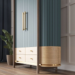 Шкаф «Гавайи» варинант исполнения - 2 | Loft Concept в Нижнем Новгороде