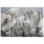 Alexander McQueen: Savage Beauty варинант исполнения - 2 | Loft Concept в Нижнем Новгороде