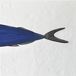 Плитка с узором Рыба пловчиха варинант исполнения - 6 | Loft Concept в Нижнем Новгороде