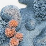 Тканый вручную Большой абстрактный гобелен Frost Forest варинант исполнения - 1 | Loft Concept в Нижнем Новгороде