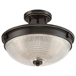 Потолочный светильник со стеклянным плафоном в виде купола Quoizel варинант исполнения - 8 | Loft Concept в Нижнем Новгороде