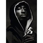 Подарочная книга величайший фотограф Альберт Уотсон The Vienna album Albert Watson варинант исполнения - 2 | Loft Concept в Нижнем Новгороде