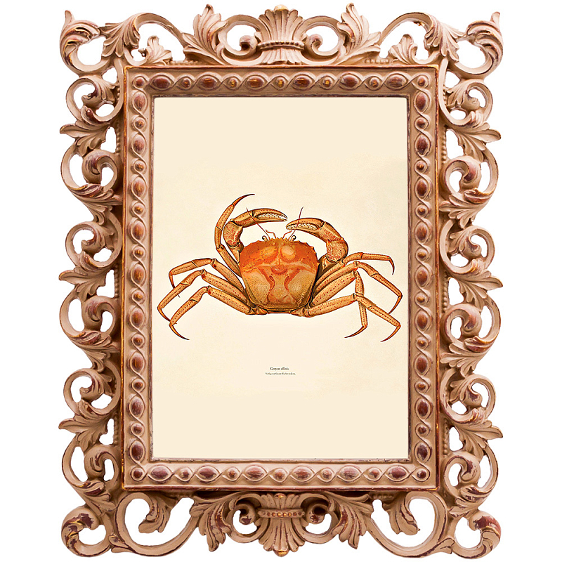 Постер Ocher Crab Poster Бежевый Оранжевый в Нижнем Новгороде | Loft Concept 