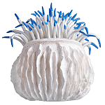 Статуэтка тропический фрукт Tropical Fruit White Blue варинант исполнения - 3 | Loft Concept в Нижнем Новгороде