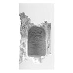 Встраиваемый в стену гипсовый светильник под покраску с эффектом разрушенной стены Antiquity Athena варинант исполнения - 2 | Loft Concept в Нижнем Новгороде