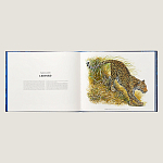 Лимитированная подарочная книга HERMES Fierce and Fragile book, English version варинант исполнения - 3 | Loft Concept в Нижнем Новгороде