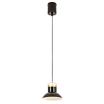 Подвесной светильник Celevis Black варинант исполнения - 2 | Loft Concept в Нижнем Новгороде