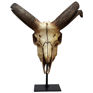 Аксессуар Goat Skull