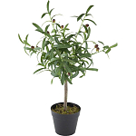 Декоративный искусственное растение Olive tree with fruits варинант исполнения - 3 | Loft Concept в Нижнем Новгороде
