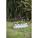 Кашпо Canaries варинант исполнения - 6 | Loft Concept в Нижнем Новгороде